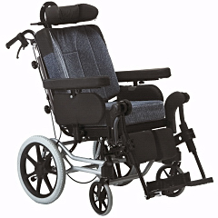 Image VPH Rea Azalea Assist Tall