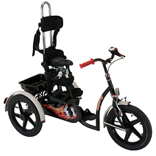 Image VPH 2202 & 2215