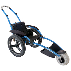 Image VPH Hippocampe