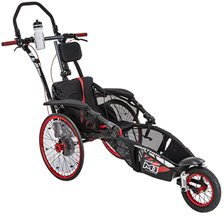 Image VPH Hippocampe Marathon