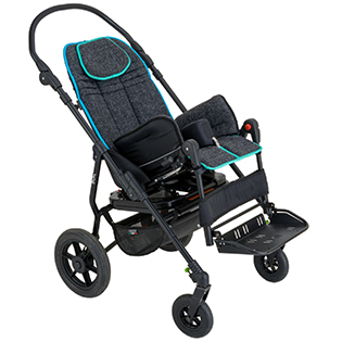 Image VPH Bug Greyline